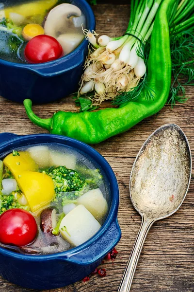 Sopa de verduras de verano — Foto de Stock