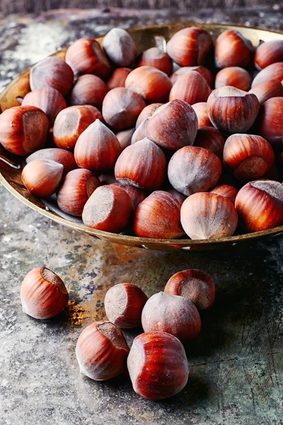 Frutos de avellana — Foto de Stock