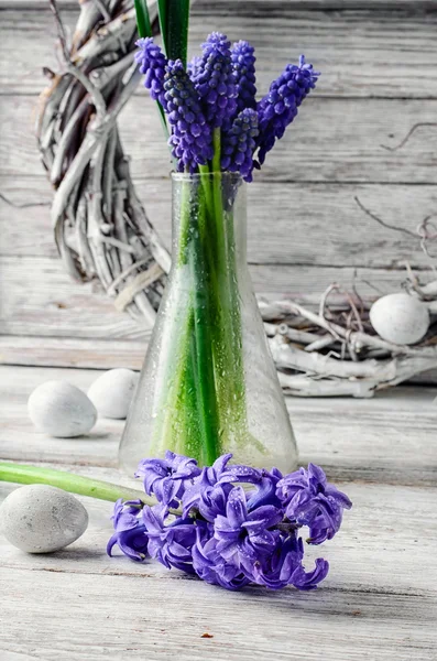 Still life with hyacinths — Stock Photo, Image