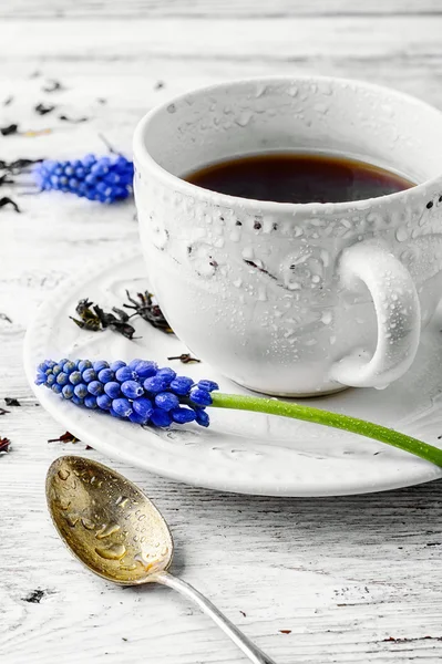 Morning mug of tea — Stock Photo, Image