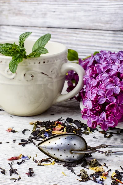 Vaniljsås te och lila — Stockfoto