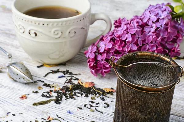 Vaniljsås te och lila — Stockfoto