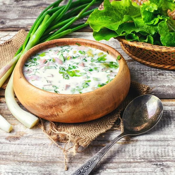 Lato zupa na zimno — Zdjęcie stockowe