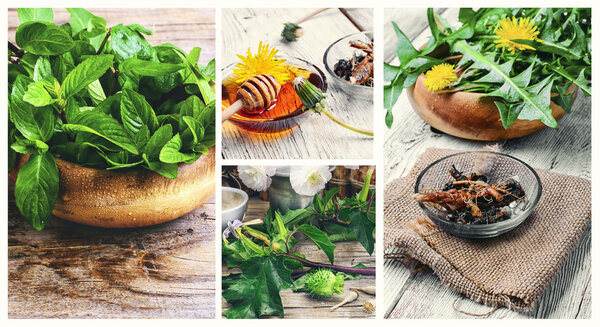 Набор полезных трав
