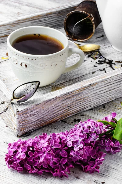 Brewed herbal tea — Stock Photo, Image