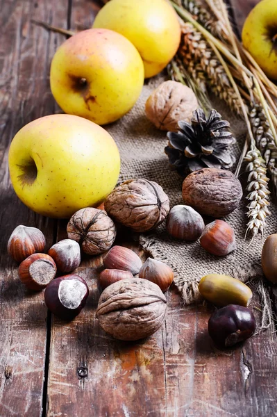 Autumn still life with apples and nuts — Stock Photo, Image