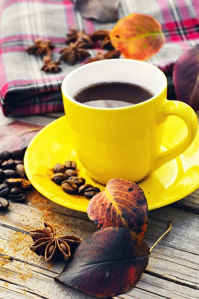 Kawa w sezonie jesiennym — Zdjęcie stockowe