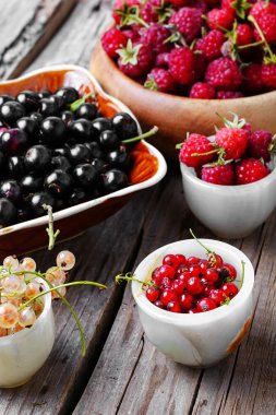 Ahududu ve kuş üzümü