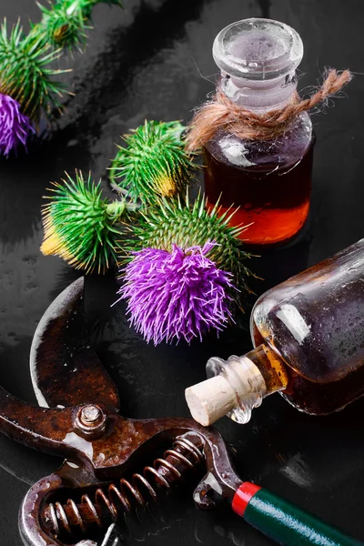 Medicin från Thistle — Stockfoto