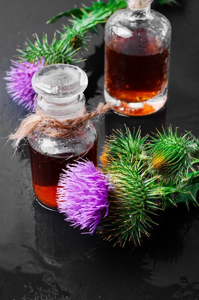 Medicin från Thistle — Stockfoto