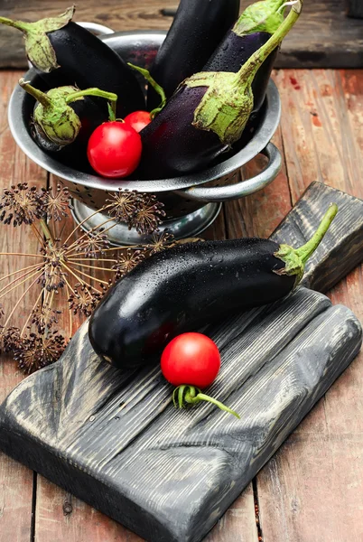 Sommaren skörd av aubergine — Stockfoto