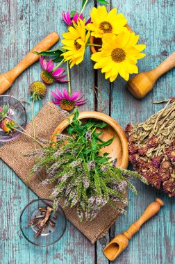 Şifalı otlar kümesi