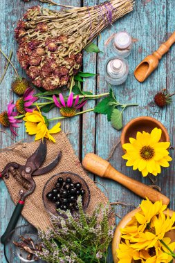 Şifalı otlar kümesi