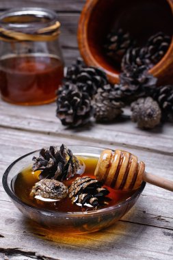 genç çam kozalakları jam