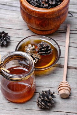 genç çam kozalakları jam