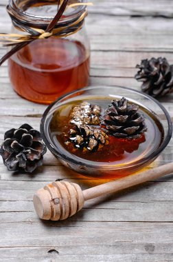 genç çam kozalakları jam