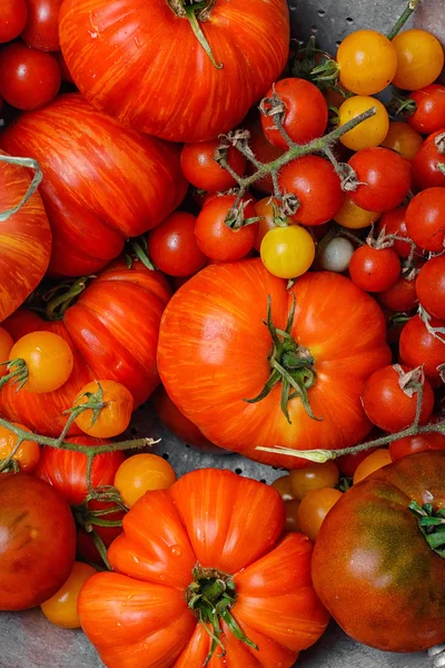 Tomatoes in colander — Stock Photo, Image