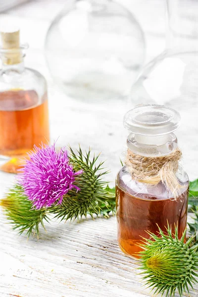 Elixir of medicinal herbs — Stock Photo, Image