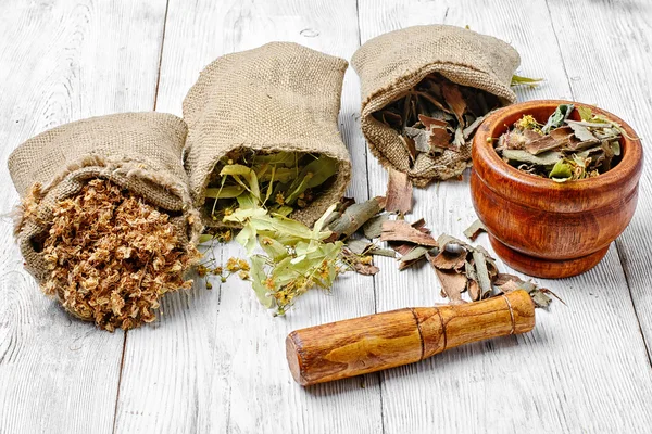 Bags with herbs and plants — Stock Photo, Image