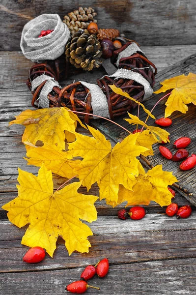 Outono folhas grinalda — Fotografia de Stock