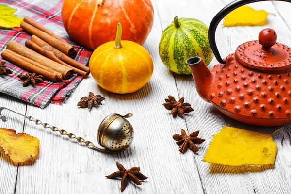 Caldera y calabaza de otoño — Foto de Stock