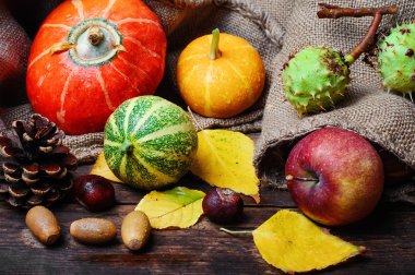 Sonbahar hasat balkabağı