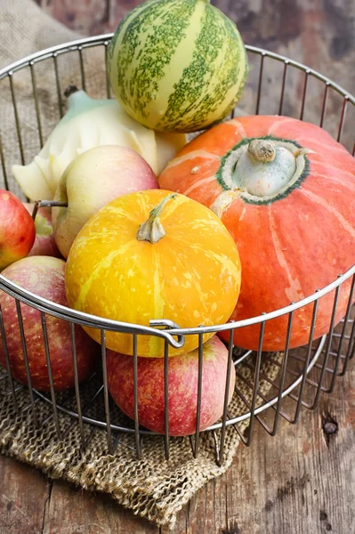 Höstens grönsaker och frukter — Stockfoto