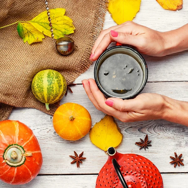 Té de otoño y taza — Foto de Stock