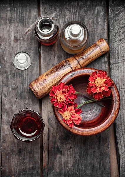 Hierbas y plantas medicinales — Foto de Stock