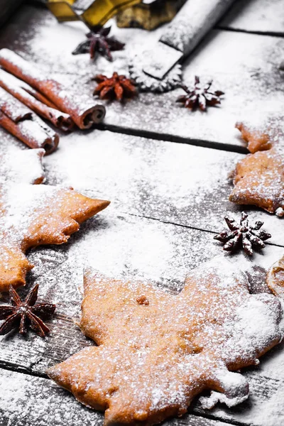 Hösten cookies kryddor — Stockfoto