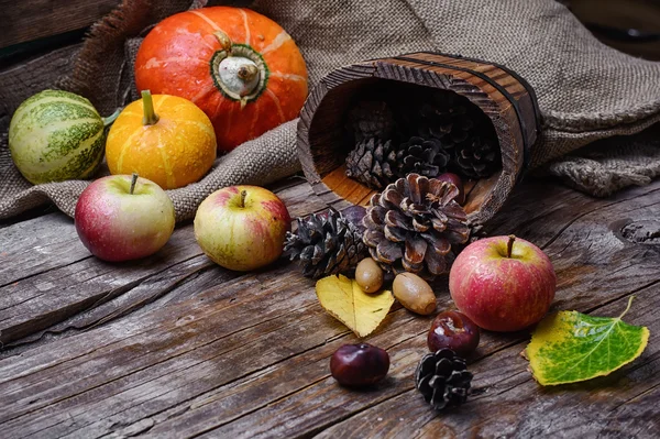 Autumn harvest of apples and pumpkins — Stock Photo, Image