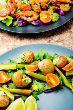 Salyangoz, ıspanak, domates ve biberli salata. Sağlıklı sebze salatası.