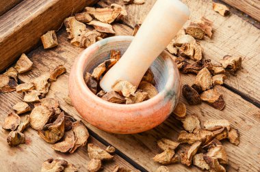 Şifalı bitkiler, elektroampanların tıbbi kökü. Bitkisel ilaçlar ve homeopati. Inula helenium.