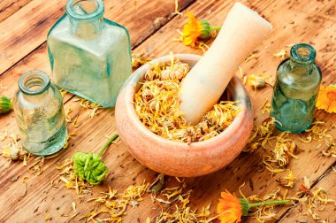 Havan ve baklada kurutulmuş takvim. Geleneksel bitkisel ilaç..