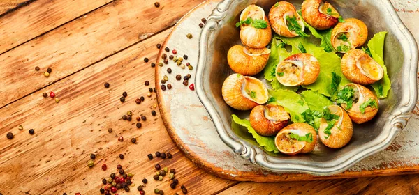 Tasty Snails Vintage Tray Stuffed Escargots France Food — Stock Photo, Image