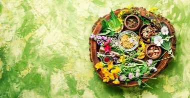 Taze ilaç, şifalı bitkiler. Alternatif ilaç. Bitkisel ilaç ve homeopati.