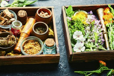 Taze ilaç, şifalı bitkiler. Alternatif ilaç. Doğal bitkisel ilaç.