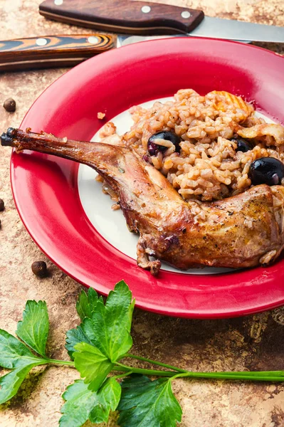 Pilaf Dušeným Králíkem Risotto Zajícem Italská Kuchyně — Stock fotografie