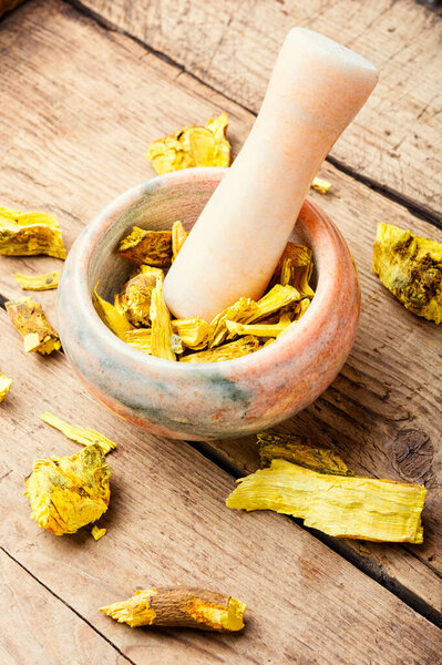 Barberry root in a ceramic mortar and pestle.Herbal medicine.