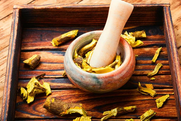 Barberry Root Mortar Pestle Herbal Medicine Homeopathy — Stock Photo, Image