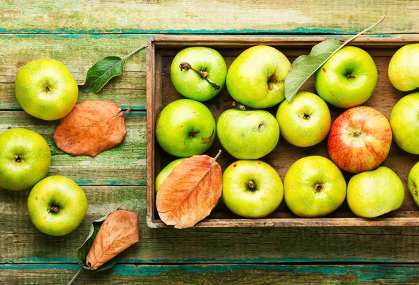 Fresh Whole Apple Set Wooden Table — Stock Photo, Image