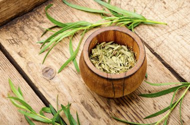 Tarhun veya estragon. Artemisia dracunculus.Taze ve kuru tarhun otu.