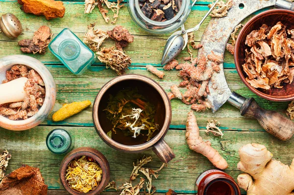 Şifalı bitkilerden bitki çayı. Şifalı bitkiler ve bitkisel ilaçların kökleri..