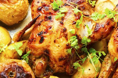 Lezzetli bıldırcın ya da elmayla pişirilmiş keklik..