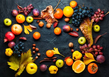 Meyve, üzüm ve fındık çeşitleri. Sonbahar meyveleri. Mevsimlik hasat.