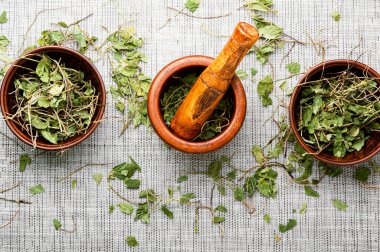 Kurumuş medikal ortopedi ile havan topu. Bitkisel ilaçlarda şifalı bitkiler..