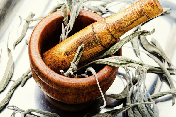 Dried sage leaves in bowl.Salvia in herbal medicine