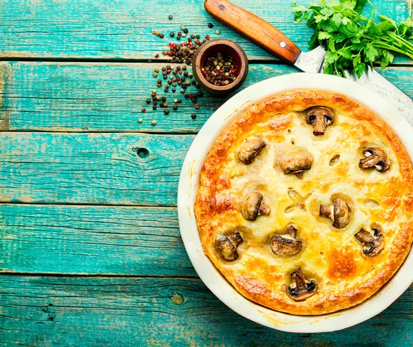 Tasty fresh pie with meat and mushrooms.Homemade meat pie.Space for text