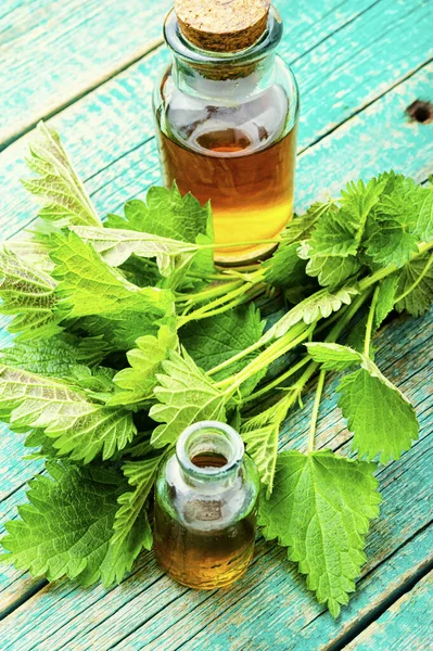 Aceite Esencia Ortiga Botella Vidrio Hojas Frescas Ortiga Urtica Dioica — Foto de Stock