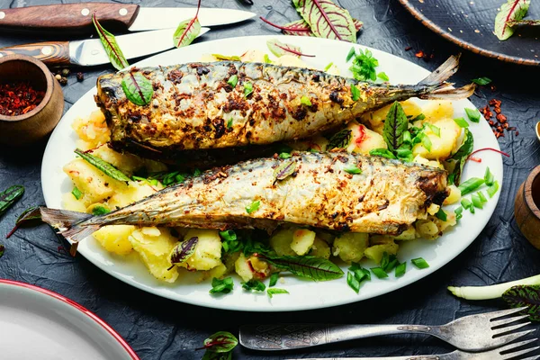 烤鲭鱼和煮熟的土豆 — 图库照片